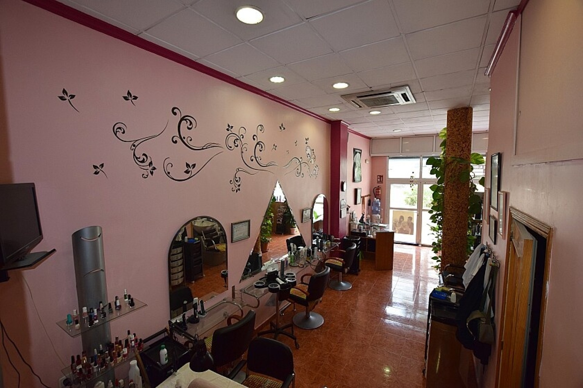 Reventa - Comercial - Torrevieja - Paseo de Torrevieja