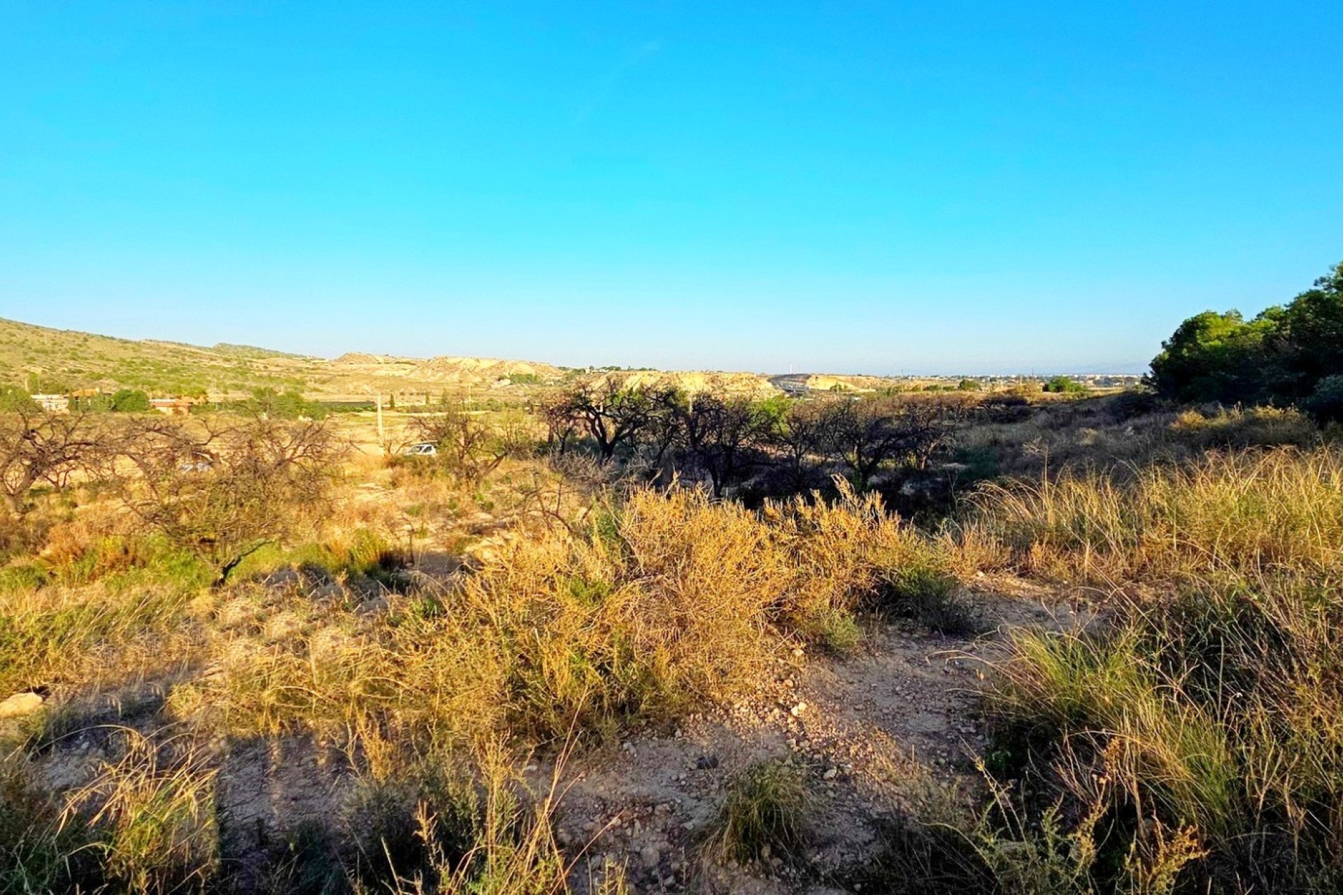 Reventa - Parcela / Terreno - Elche