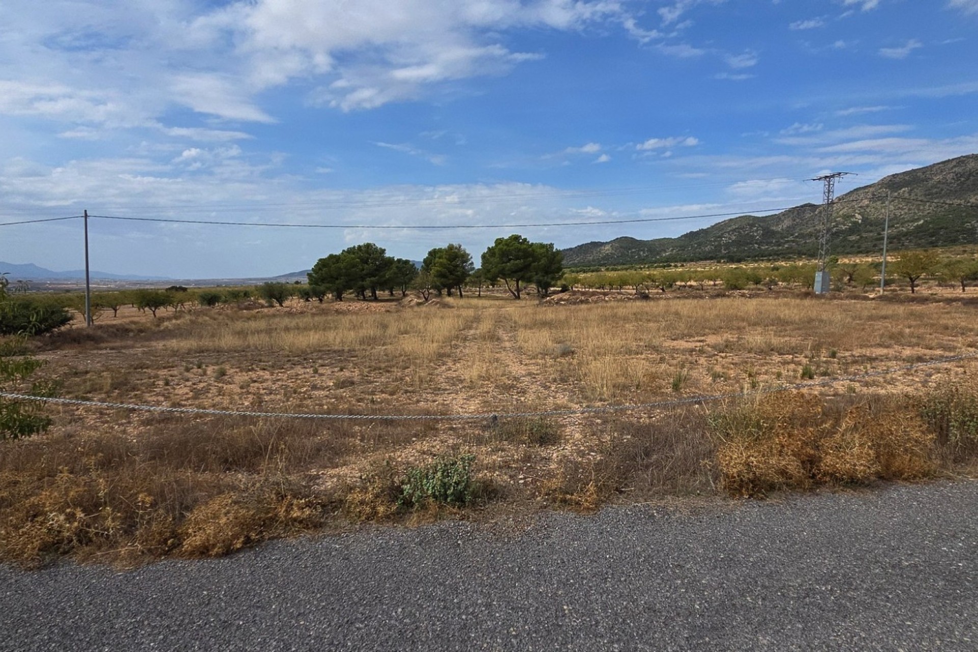 Reventa - Parcela / Terreno - Pinoso