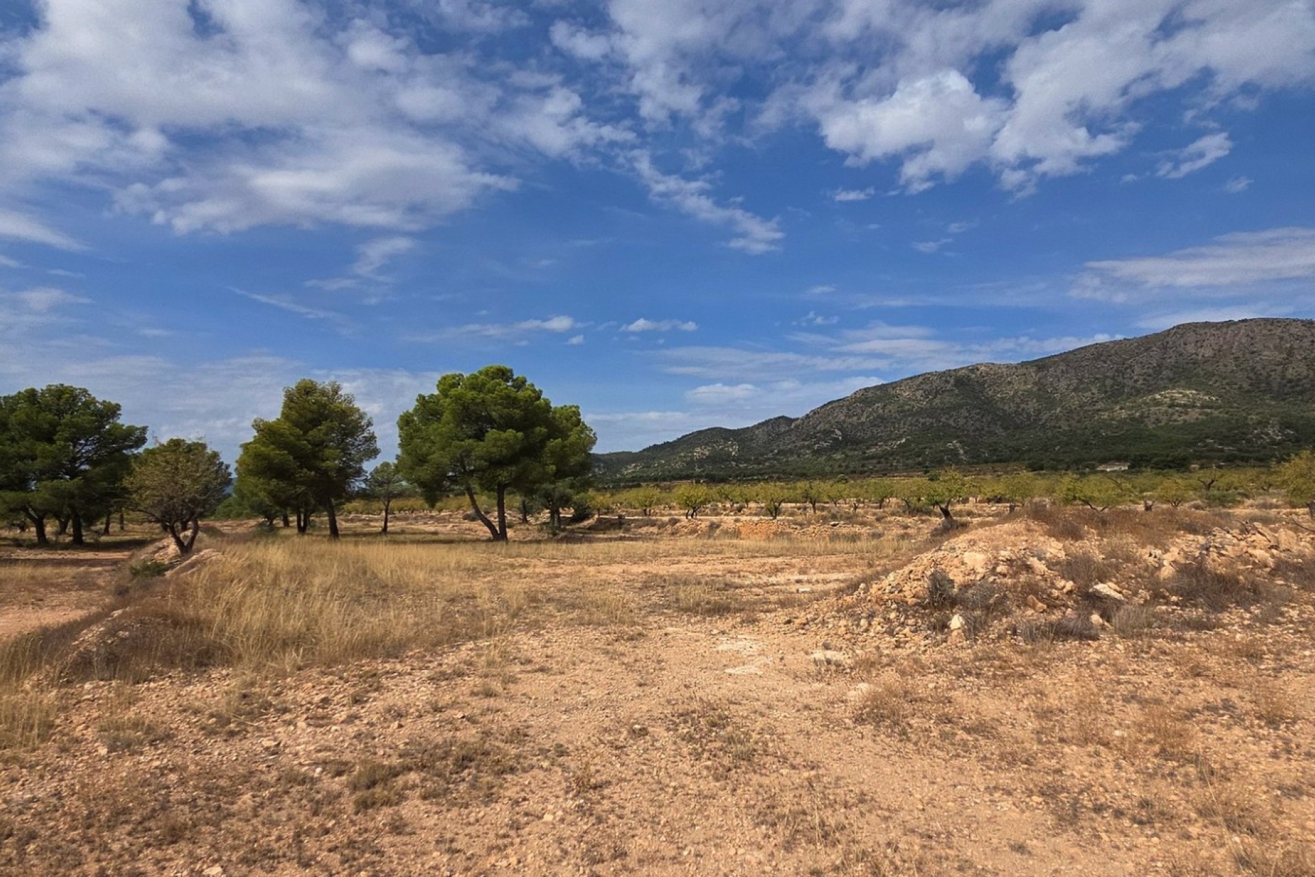 Reventa - Parcela / Terreno - Pinoso
