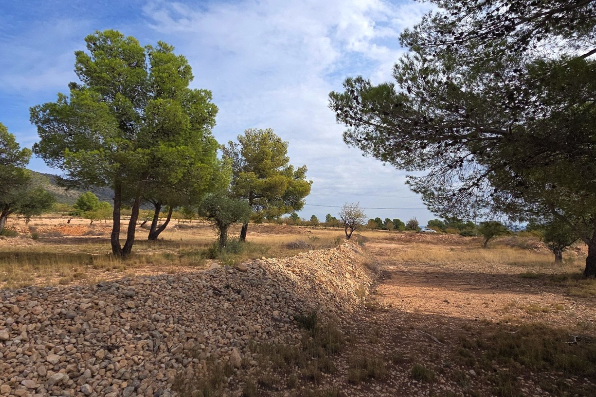 Reventa - Parcela / Terreno - Pinoso