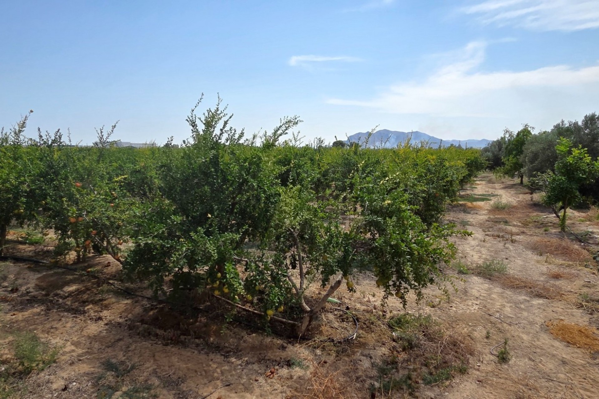 Reventa - Parcela / Terreno - San Isidro