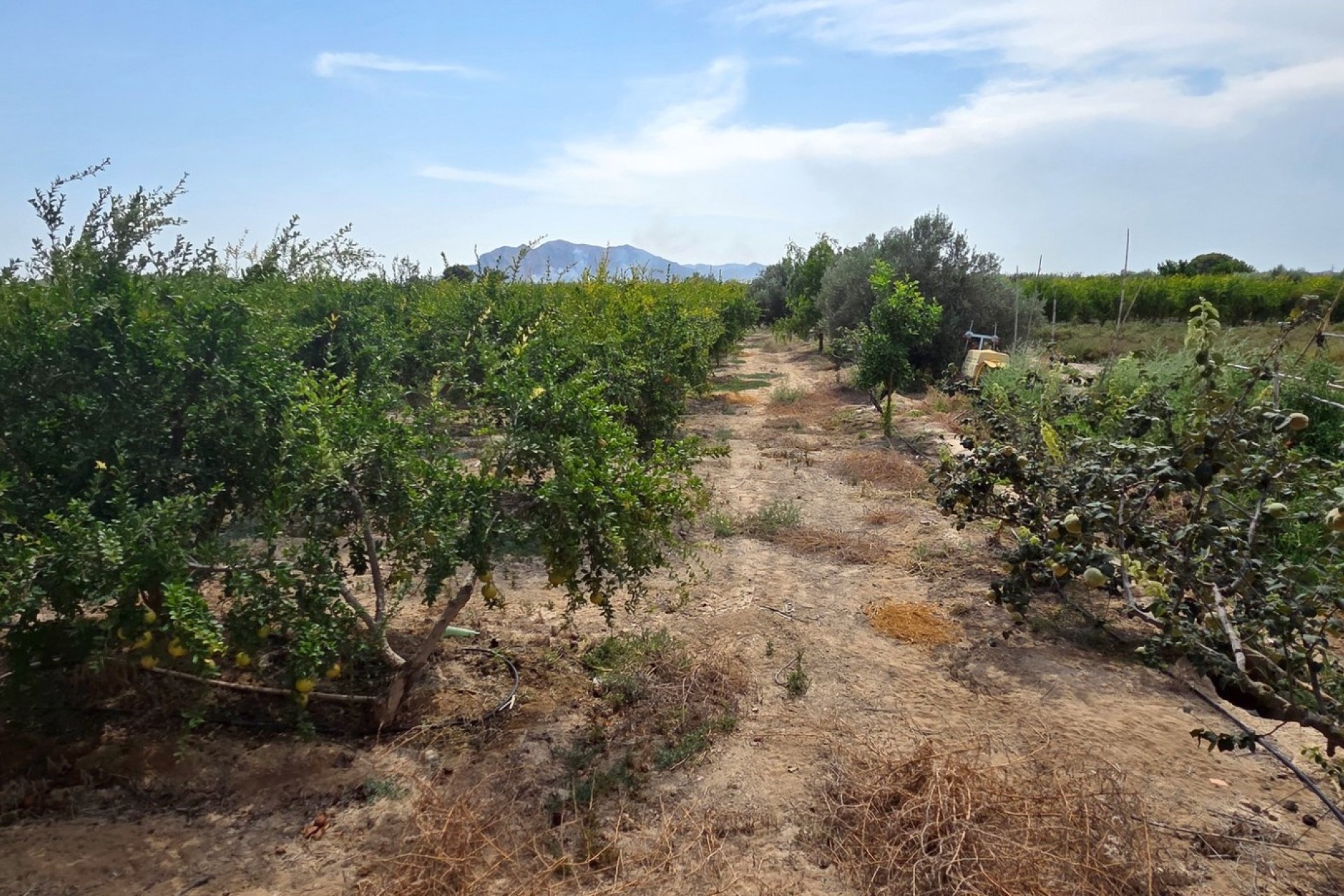 Reventa - Parcela / Terreno - San Isidro