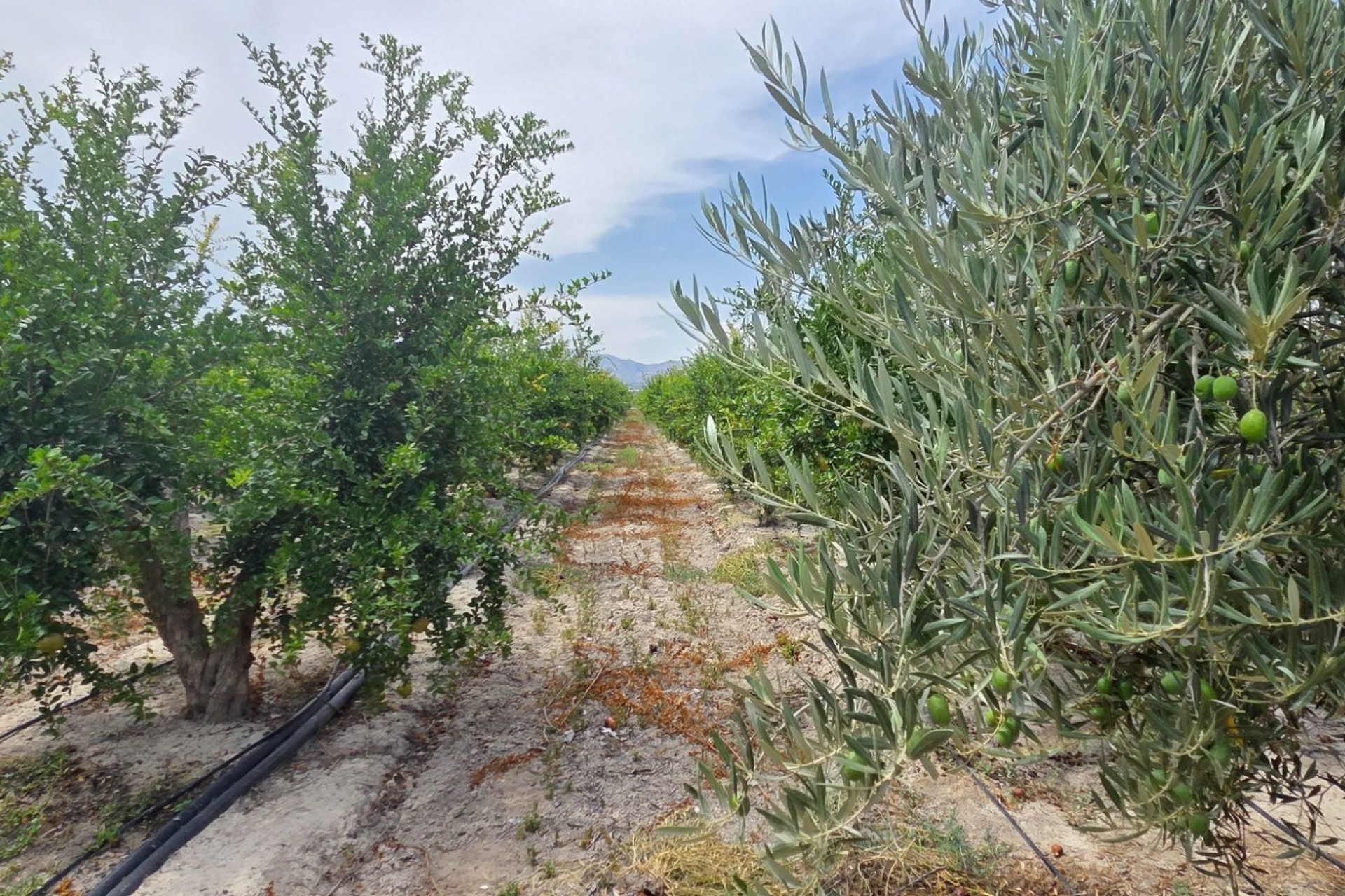 Reventa - Parcela / Terreno - San Isidro