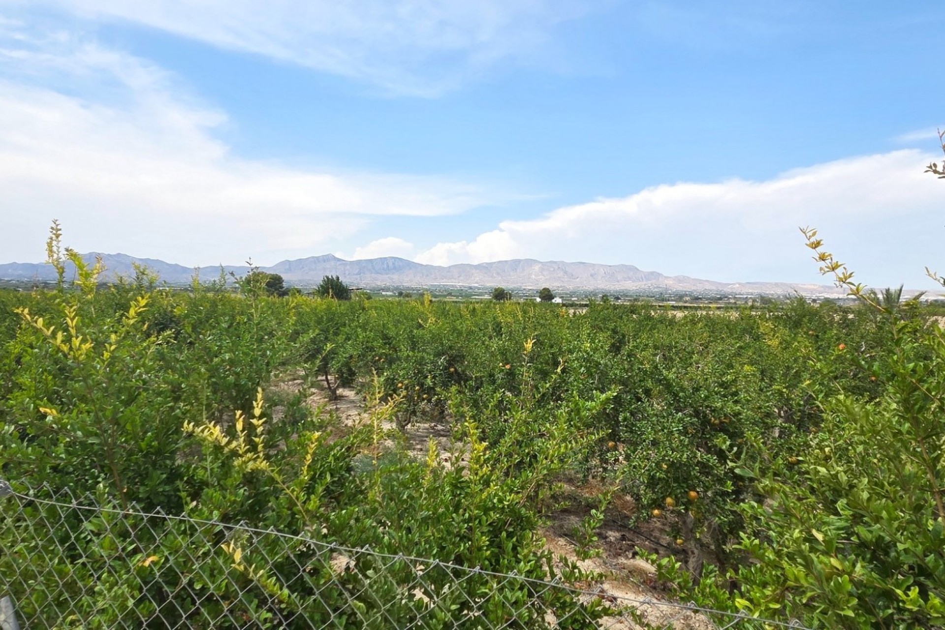Reventa - Parcela / Terreno - San Isidro