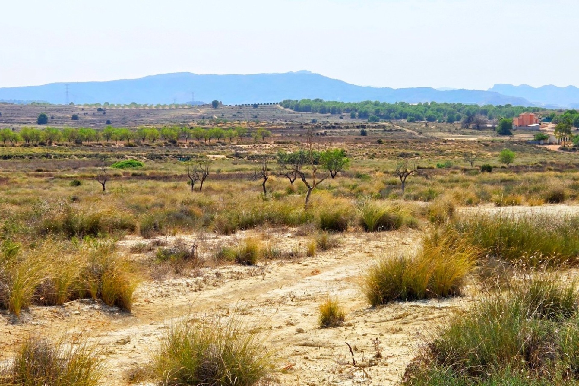 Reventa - Parcela / Terreno - San Miguel de Salinas