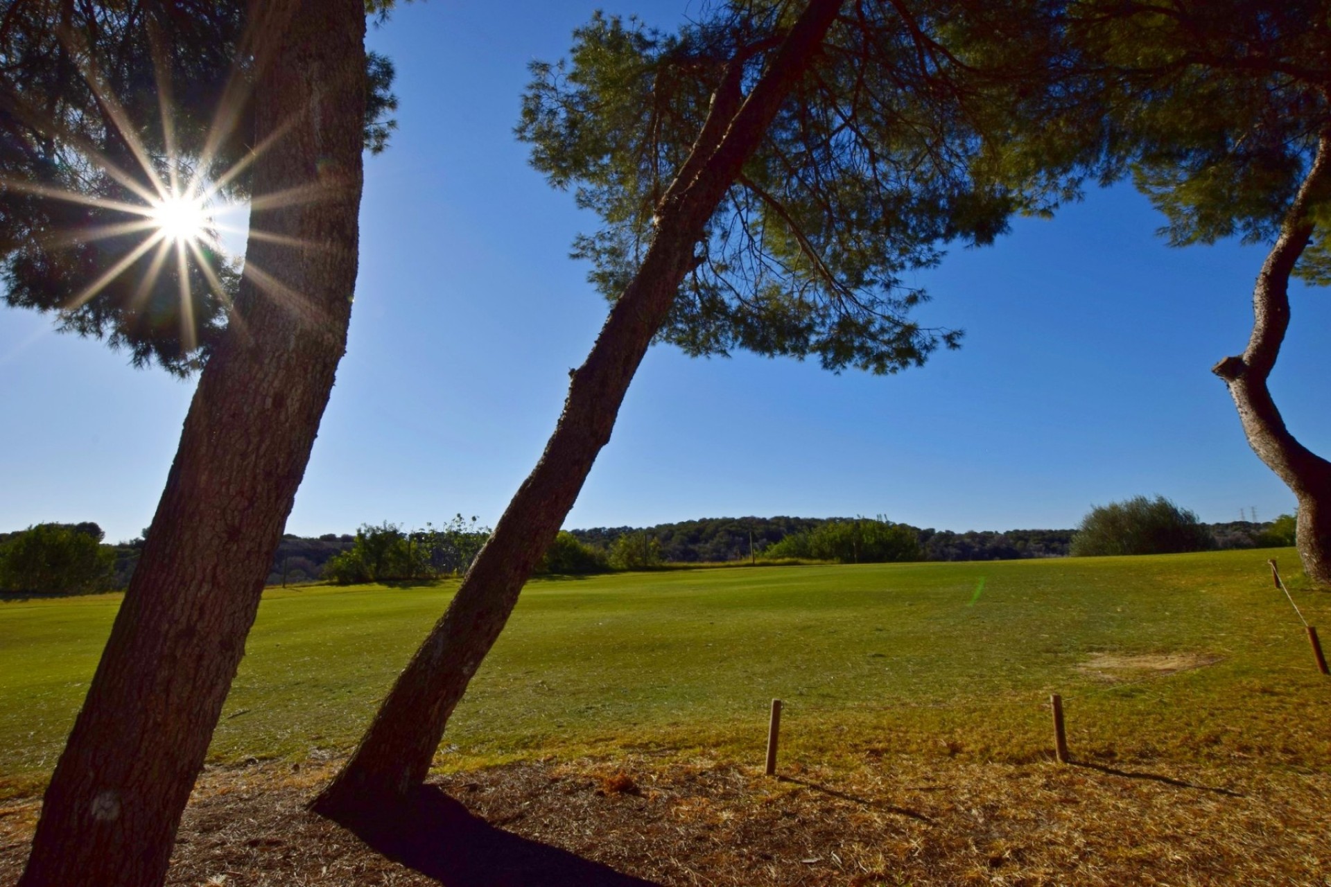 Revente - Apartment - Orihuela Costa - Las Ramblas Golf