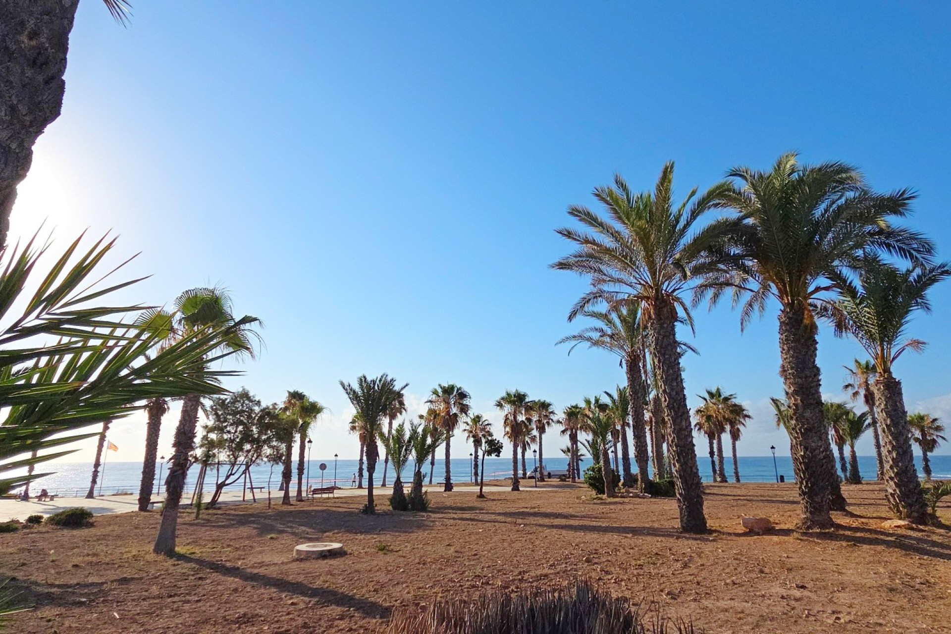 Revente - Apartment - Orihuela Costa - Playa Flamenca