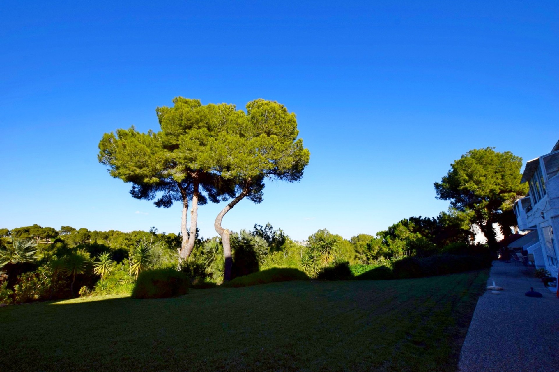 Revente - Attique - Orihuela Costa - Villamartín