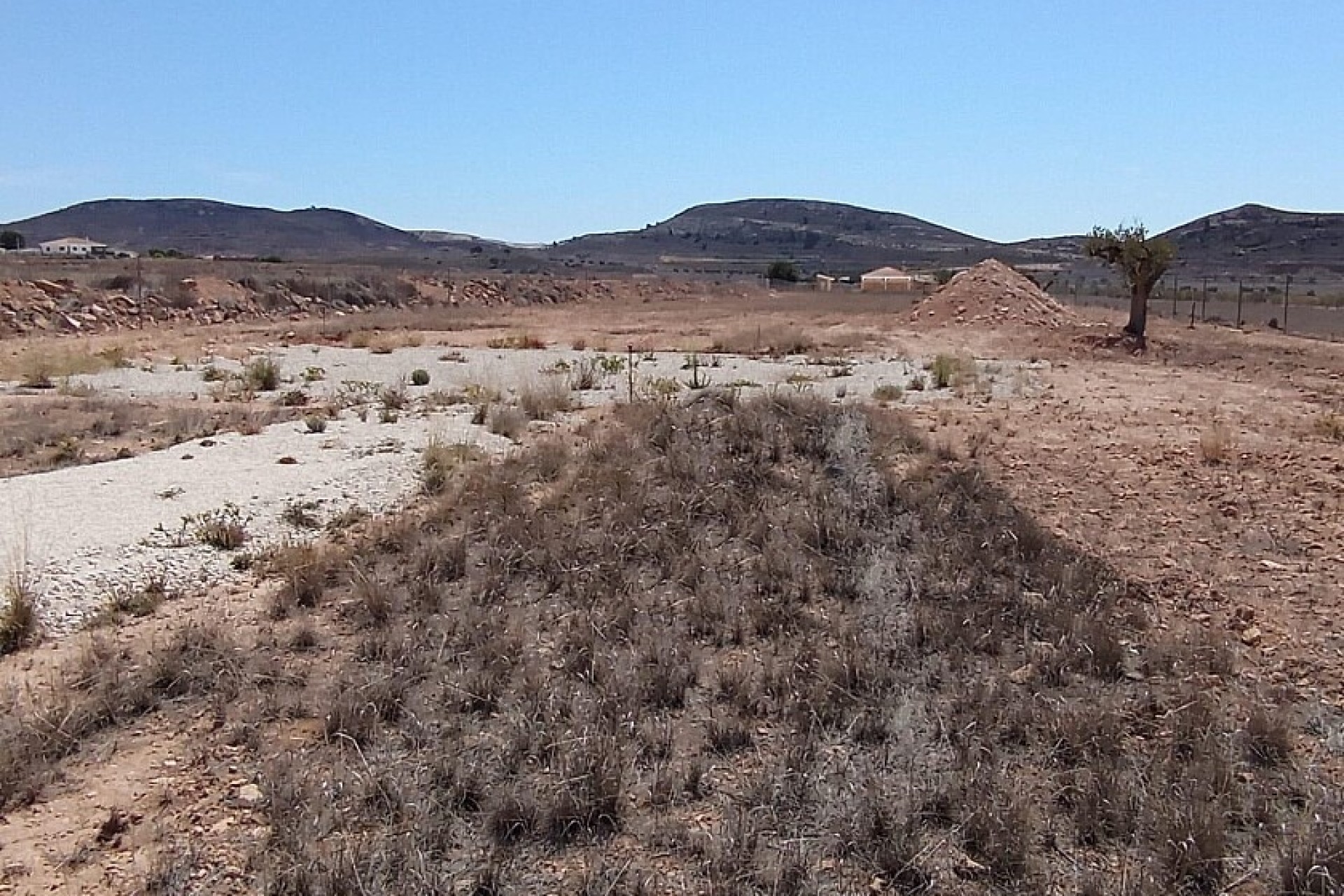 Revente - Land - Jumilla - Torre del Rico