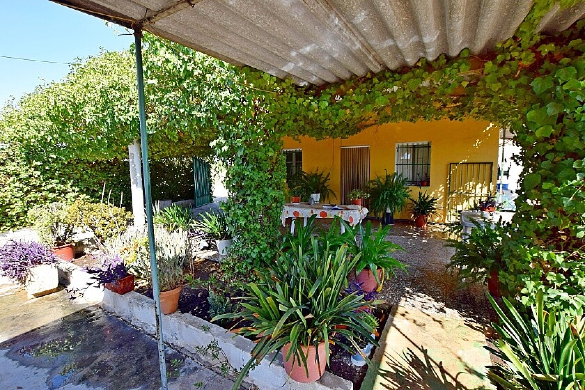 Revente - Villa - Albatera