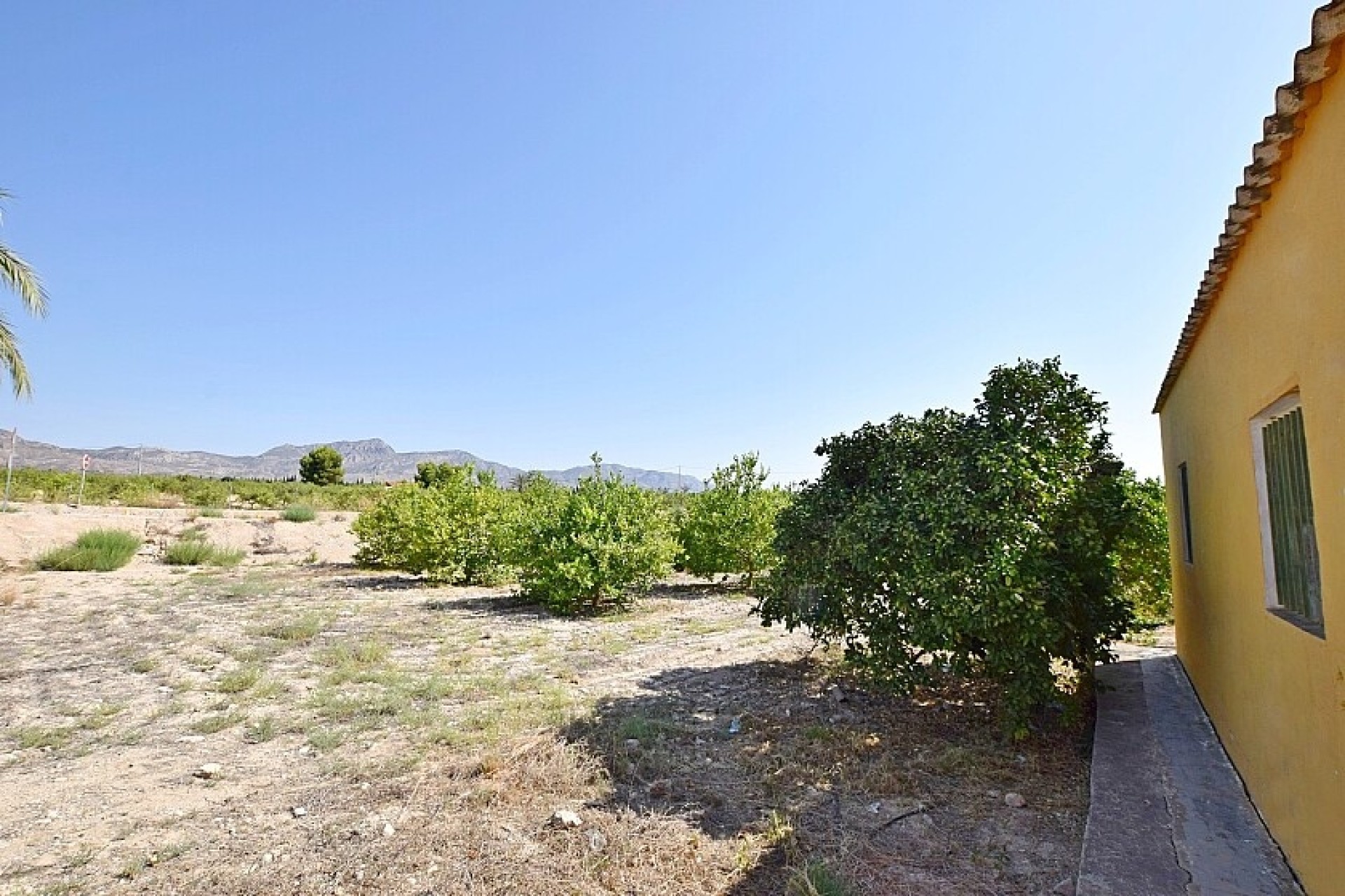 Revente - Villa - Albatera