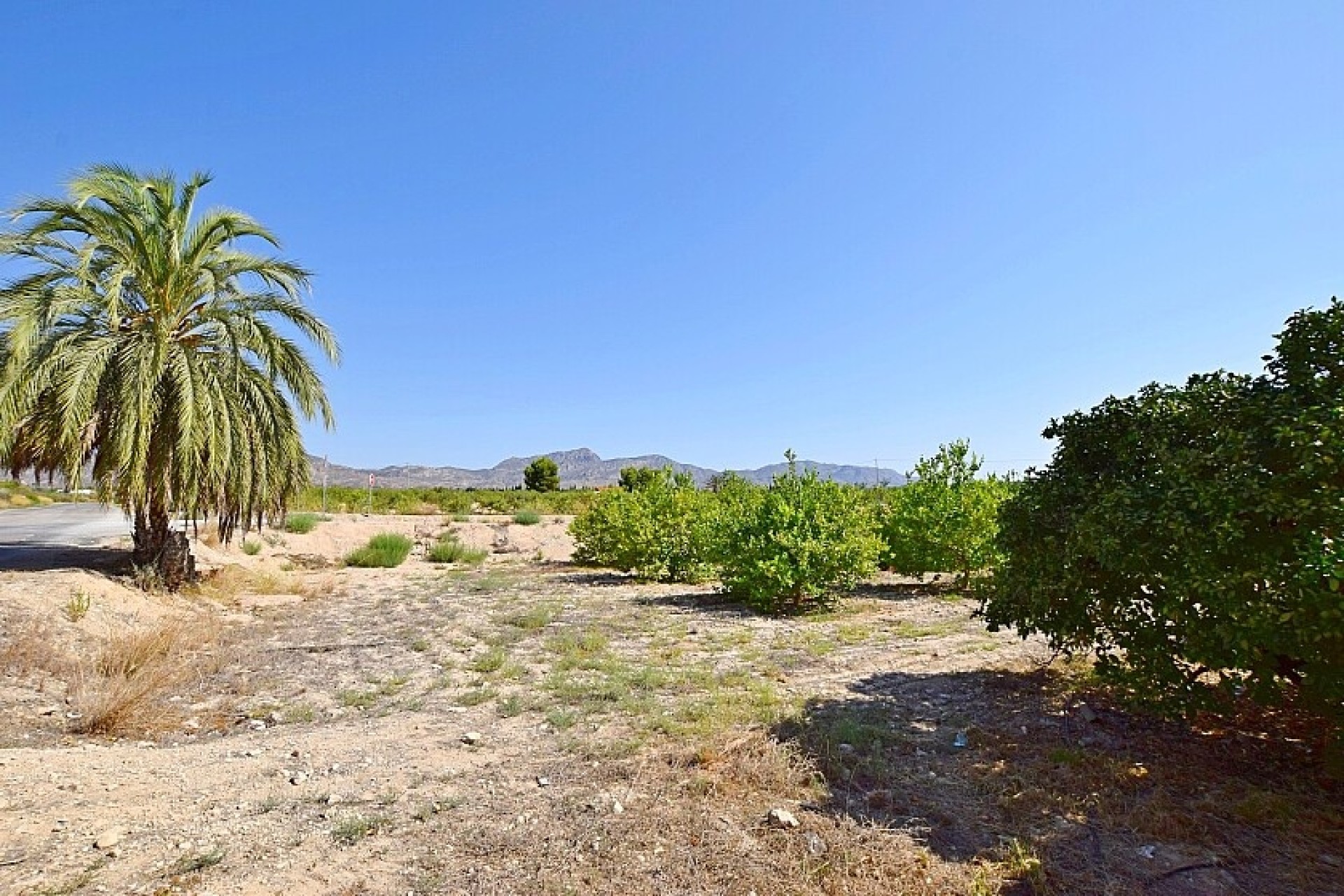 Revente - Villa - Albatera