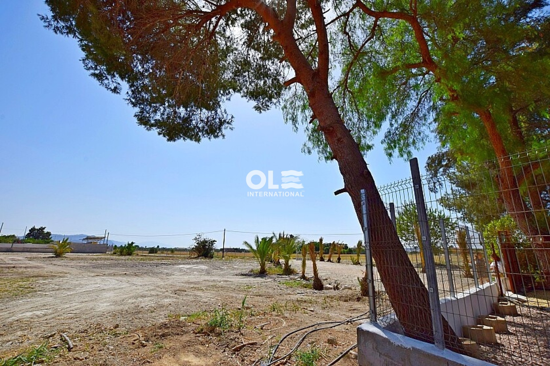 Revente - Villa - Orihuela Costa - Orihuela