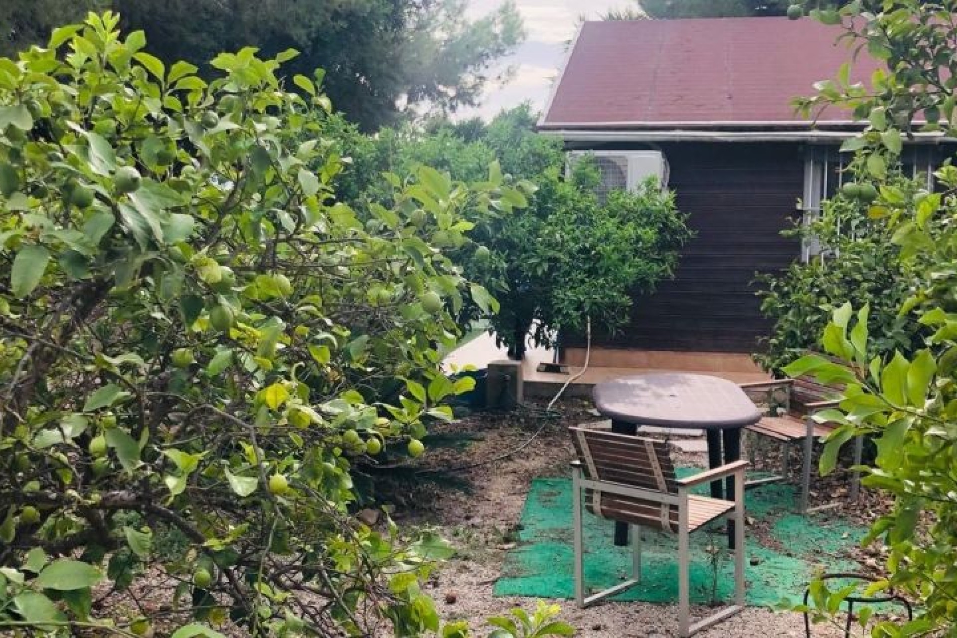 Revente - Villa - Orihuela Costa - Orihuela