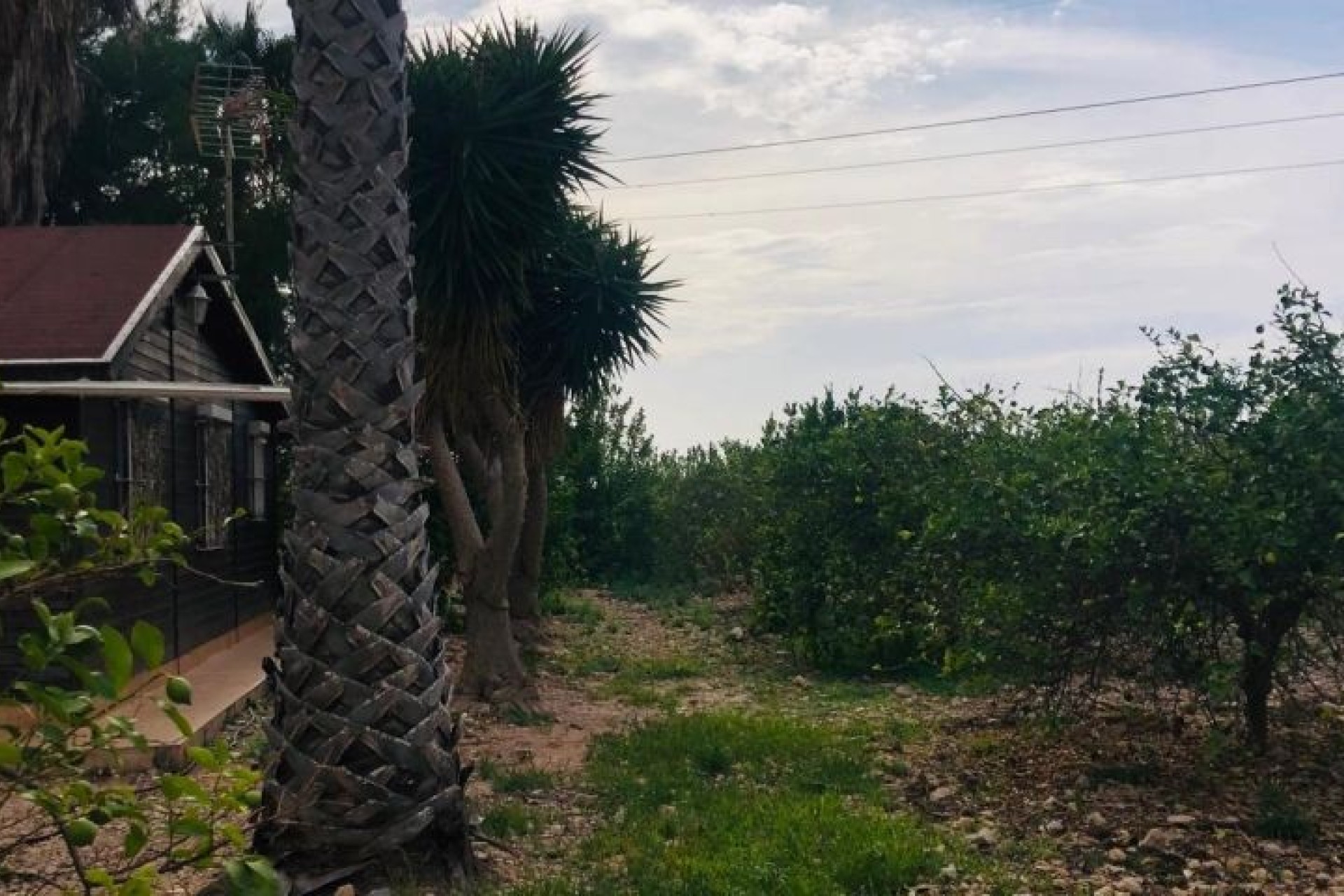 Revente - Villa - Orihuela Costa - Orihuela