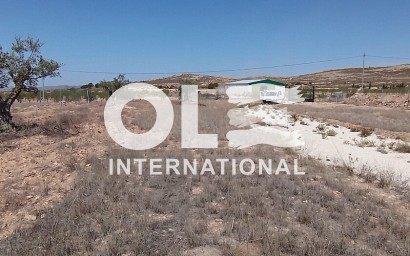 Участок / Земельный участок - Перепродажа - Jumilla - Torre del Rico