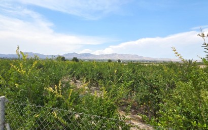 Участок / Земельный участок - Перепродажа - San Isidro - RP136912