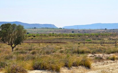 Участок / Земельный участок - Перепродажа - San Miguel de Salinas - RP136913