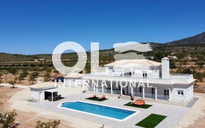 Villa - Новое здание - Pinoso - Camino Del Prado