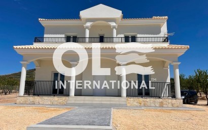 Villa - Новое здание - Pinoso - Camino Del Prado