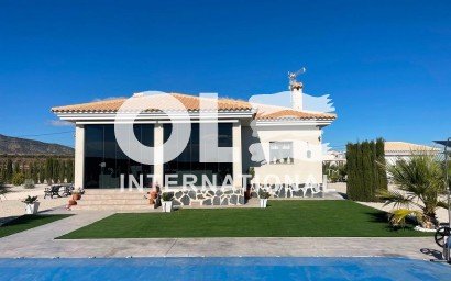 Villa - Новое здание - Pinoso - Camino Del Prado