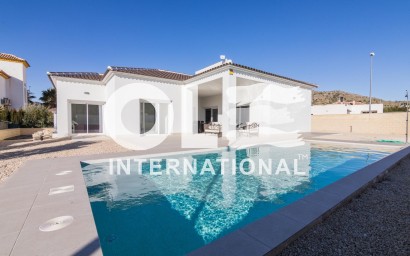Villa - Новое здание - Pinoso - Lel