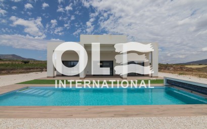 Villa - Новое здание - Pinoso - Lel