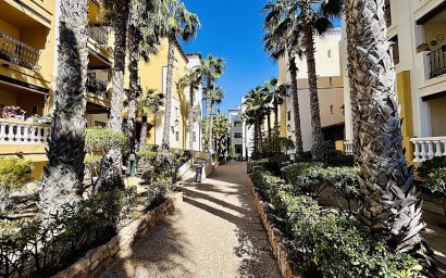 Resale - Apartment - Torrevieja - Playa de los Locos
