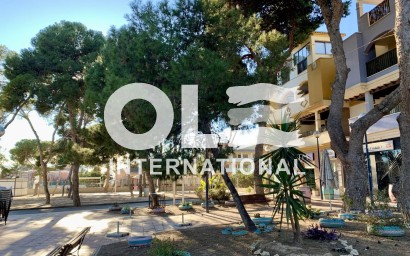 Новое здание - Бунгало - San Javier - Roda Golf