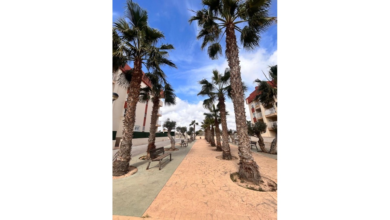 Nieuwbouw Woningen - Apartment - Orihuela Costa - Lomas de Cabo Roig