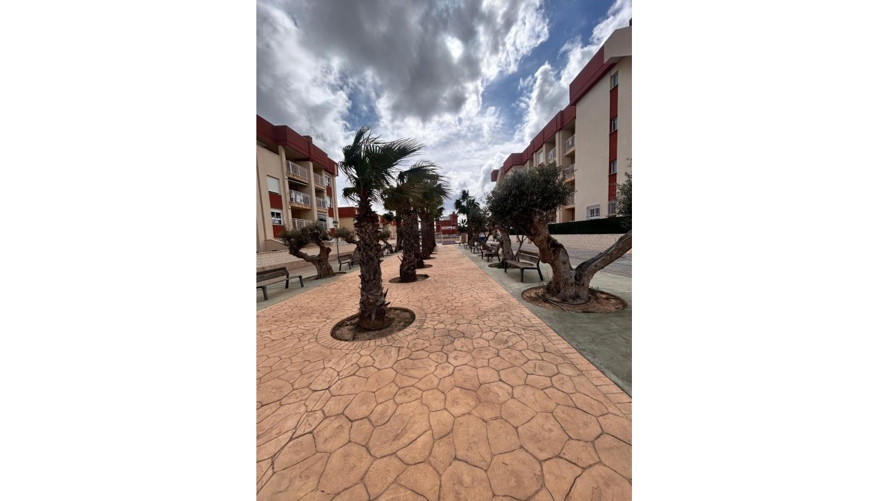 Nieuwbouw Woningen - Apartment - Orihuela Costa - Lomas de Cabo Roig