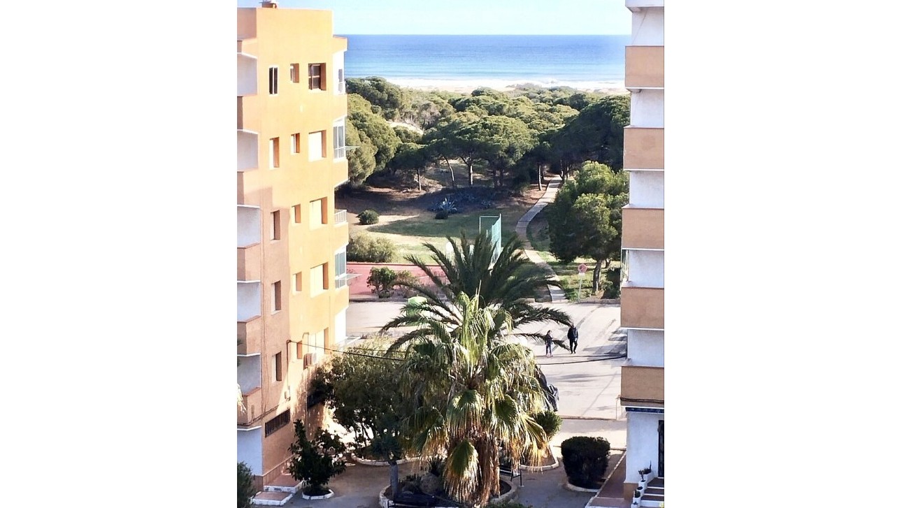 Resale - Apartment - Guardamar del Segura