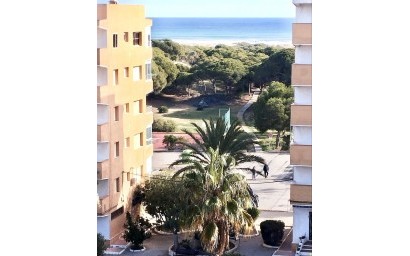 Resale - Apartment - Guardamar del Segura