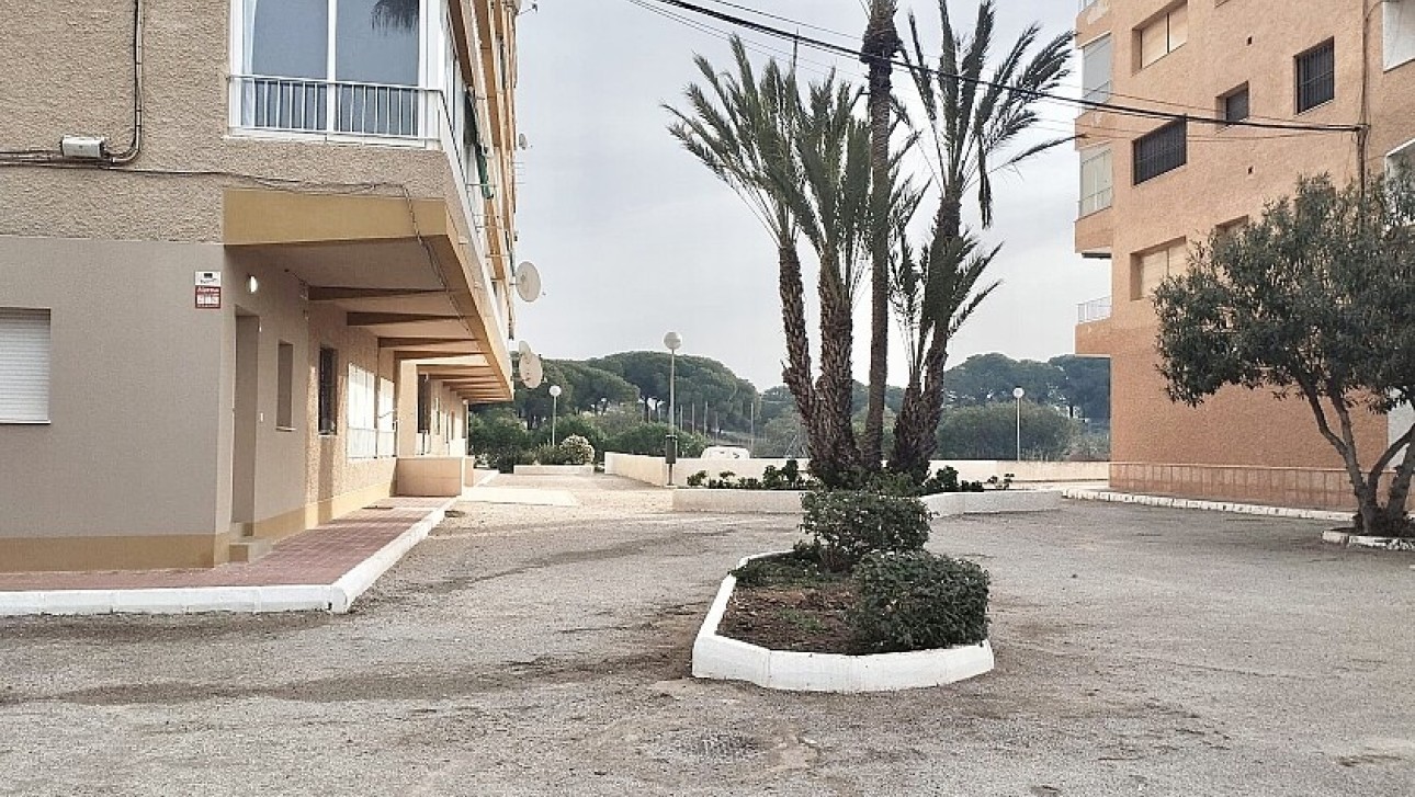 Resale - Apartment - Guardamar del Segura