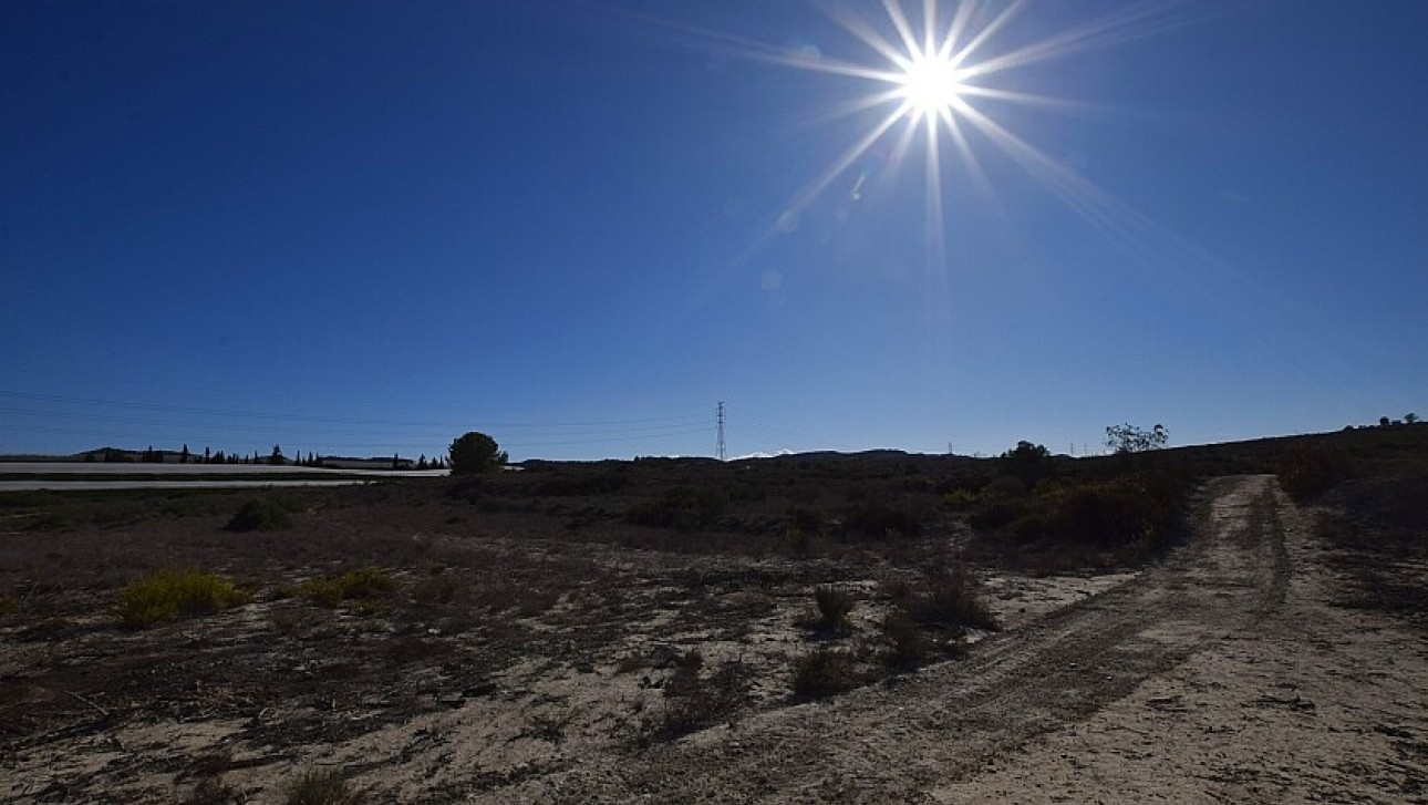 Reventa - Land - San Miguel de Salinas