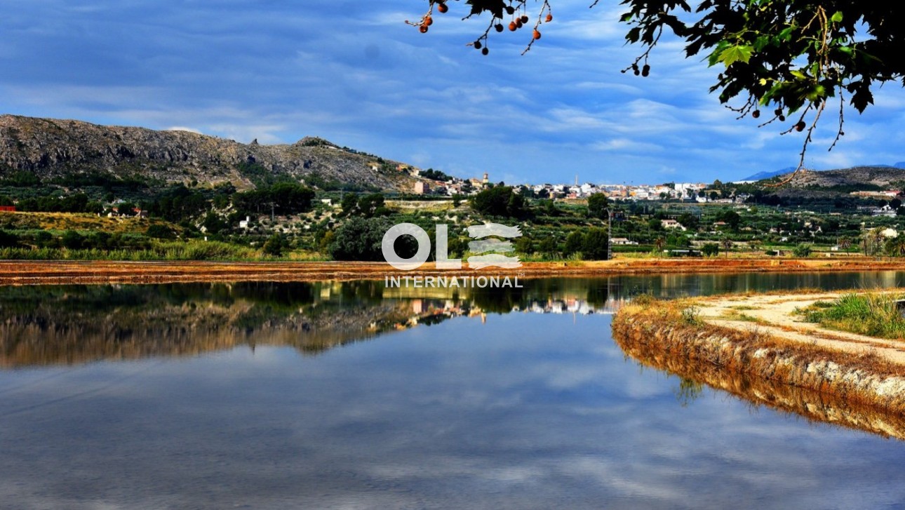 Новое здание - Villa - Calasparra - Coto Riñales