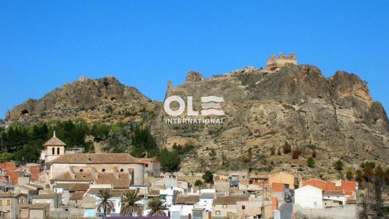 Новое здание - Villa - Calasparra - Coto Riñales