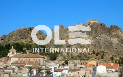 Новое здание - Villa - Calasparra - Coto Riñales