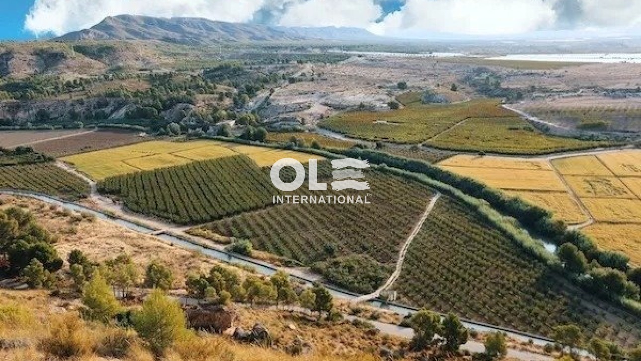 Новое здание - Villa - Calasparra - Coto Riñales