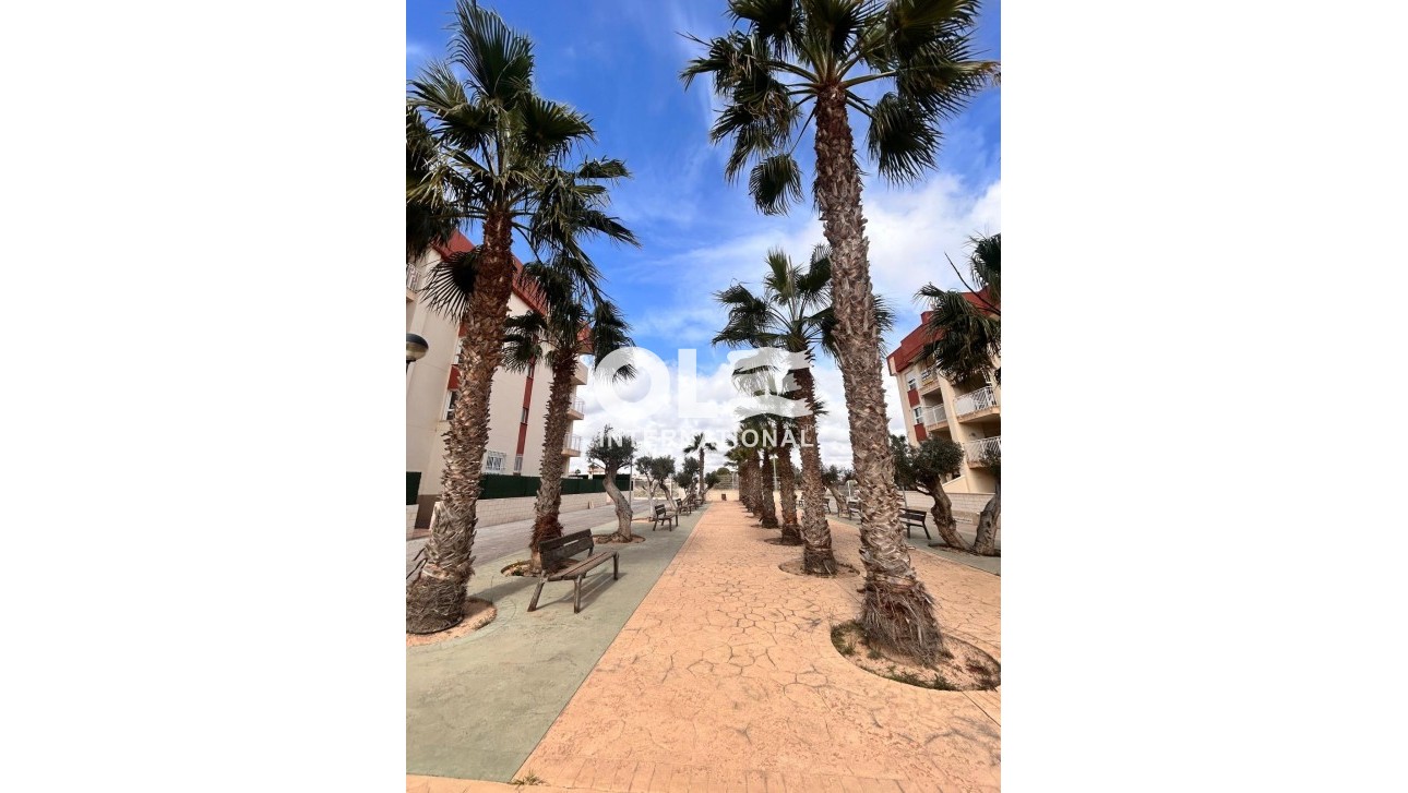 Новое здание - Пентхаус - Orihuela Costa - Lomas de Cabo Roig