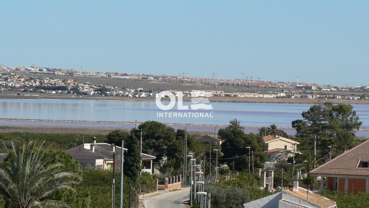 Новое здание - Villa - Los Montesinos - La Herrada