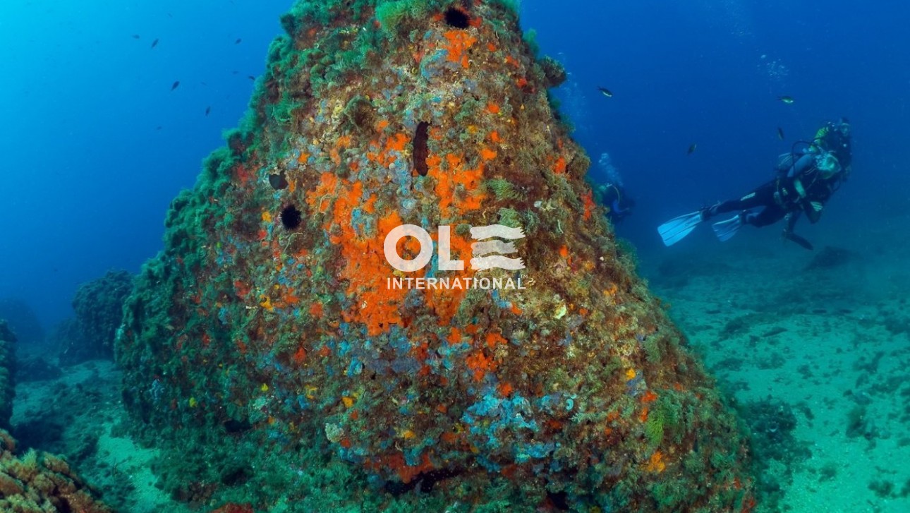 Новое здание - Пентхаус - Aguilas - Isla Del Fraile
