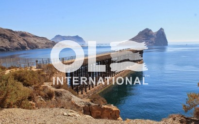 Новое здание - Пентхаус - Aguilas - Isla Del Fraile