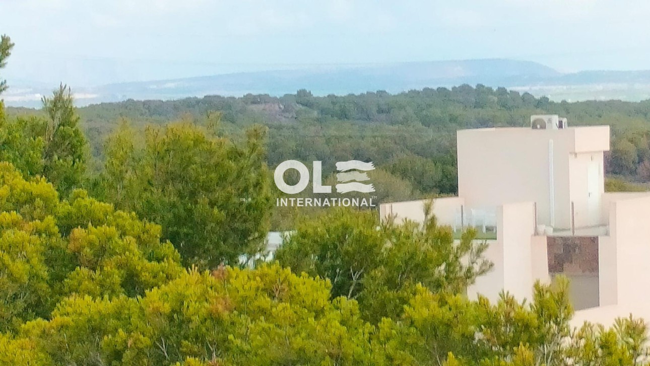 Новое здание - Villa - Orihuela Costa - PAU 26