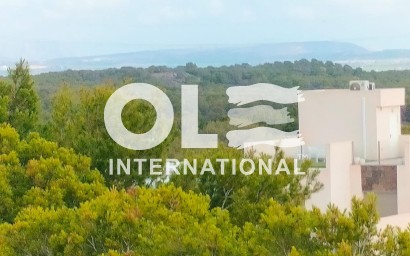 Новое здание - Villa - Orihuela Costa - PAU 26