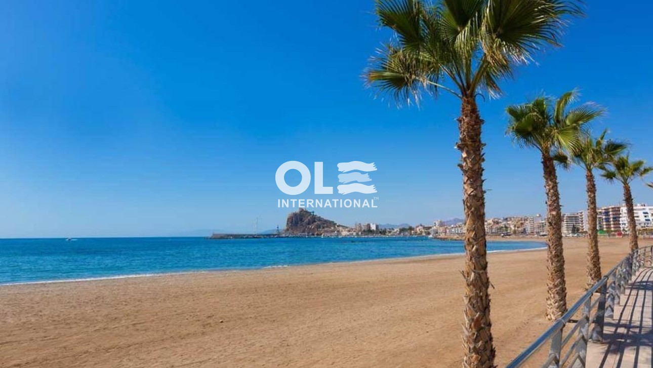 Новое здание - Villa - Aguilas - Playa del Hornillo