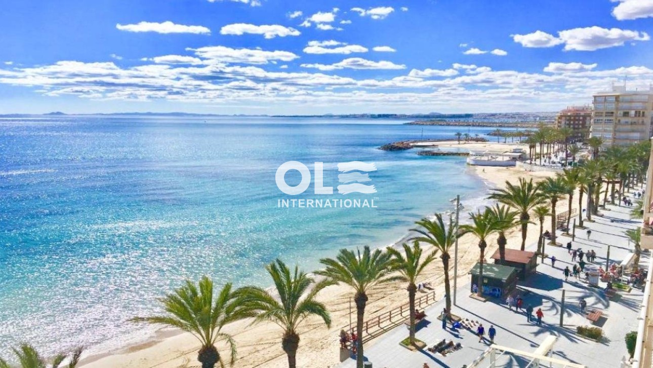 Новое здание - Бунгало - Torrevieja - Lago Jardín II