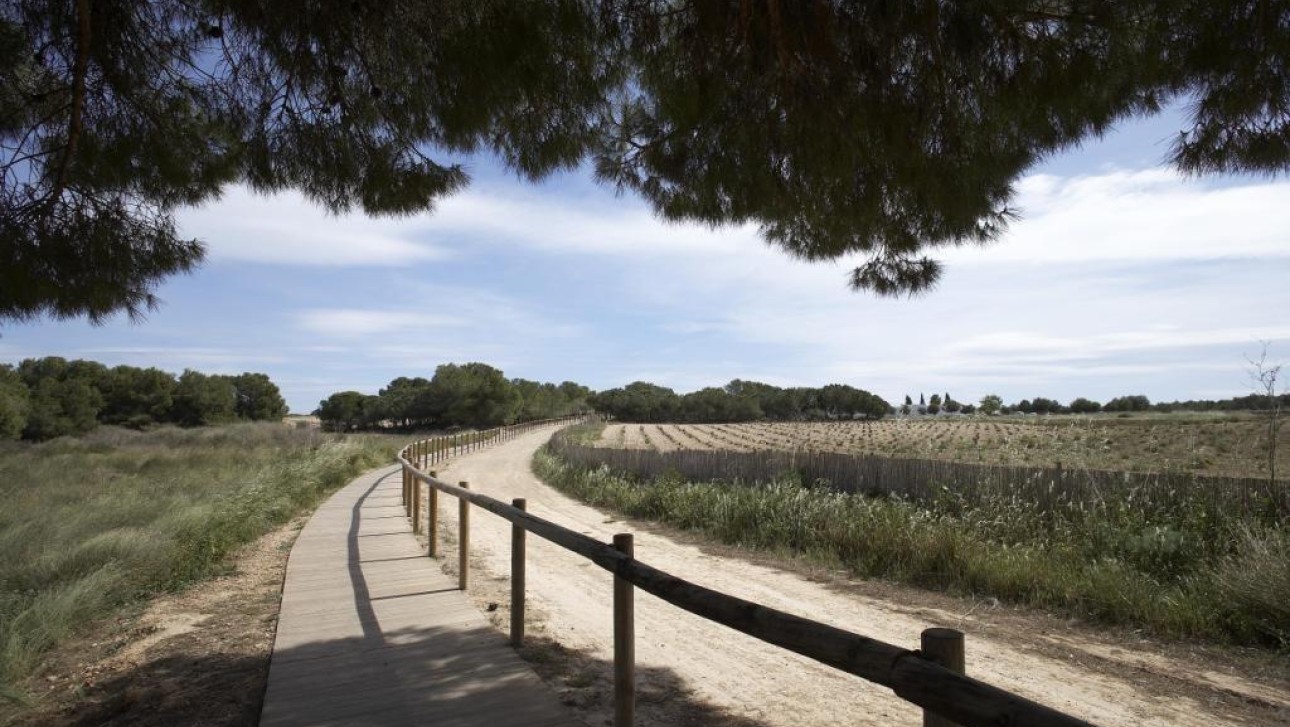 New Build - Bungalow - Torrevieja - Altos del Sol