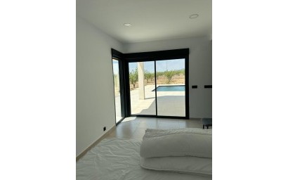 Nieuwbouw Woningen - Villa - Pinoso - Lel